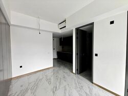 The Landmark (D3), Condominium #520533401